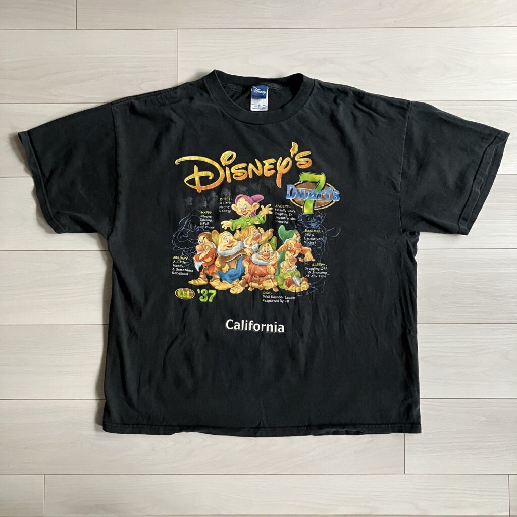 Disney ディズニー 七人の小人 七人のこびと 藤ヶ谷太輔 着用古 Tシャツ たいすたぐらむ 太輔の私服