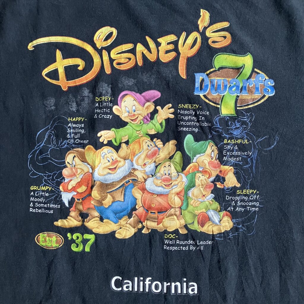 Disney ディズニー 七人の小人 七人のこびと 藤ヶ谷太輔 着用古 Tシャツ たいすたぐらむ 太輔の私服