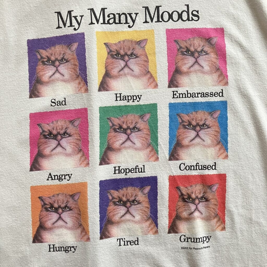 TWICE momo モモ　Tシャツ　my many moods cat 古着　sun drop