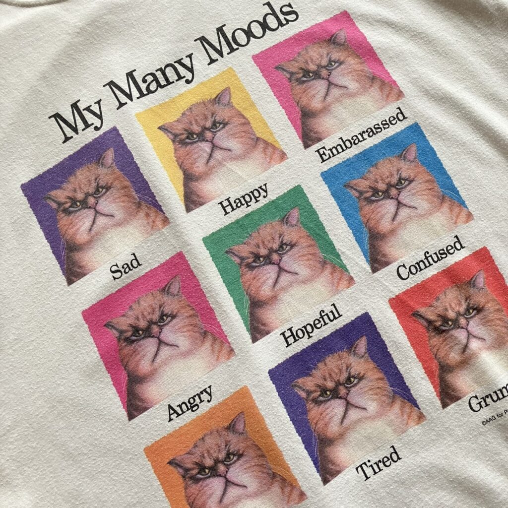 TWICE momo モモ　Tシャツ　my many moods cat 古着　sun drop